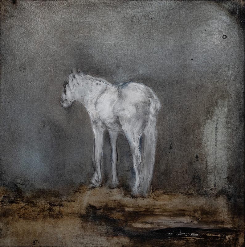 Rose Braun - Horse - 19 x 19" - oil on metal panel
