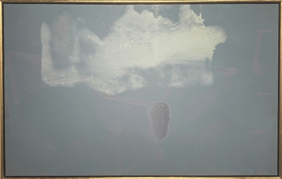 Image of Contemporary art piece titled High, Wide and Plentiful by Phil Darrah  