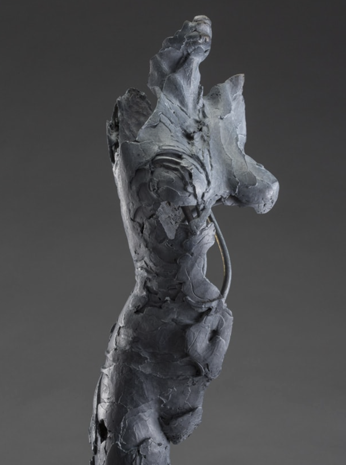 Image of Contemporary art piece titled Blake Ward by   